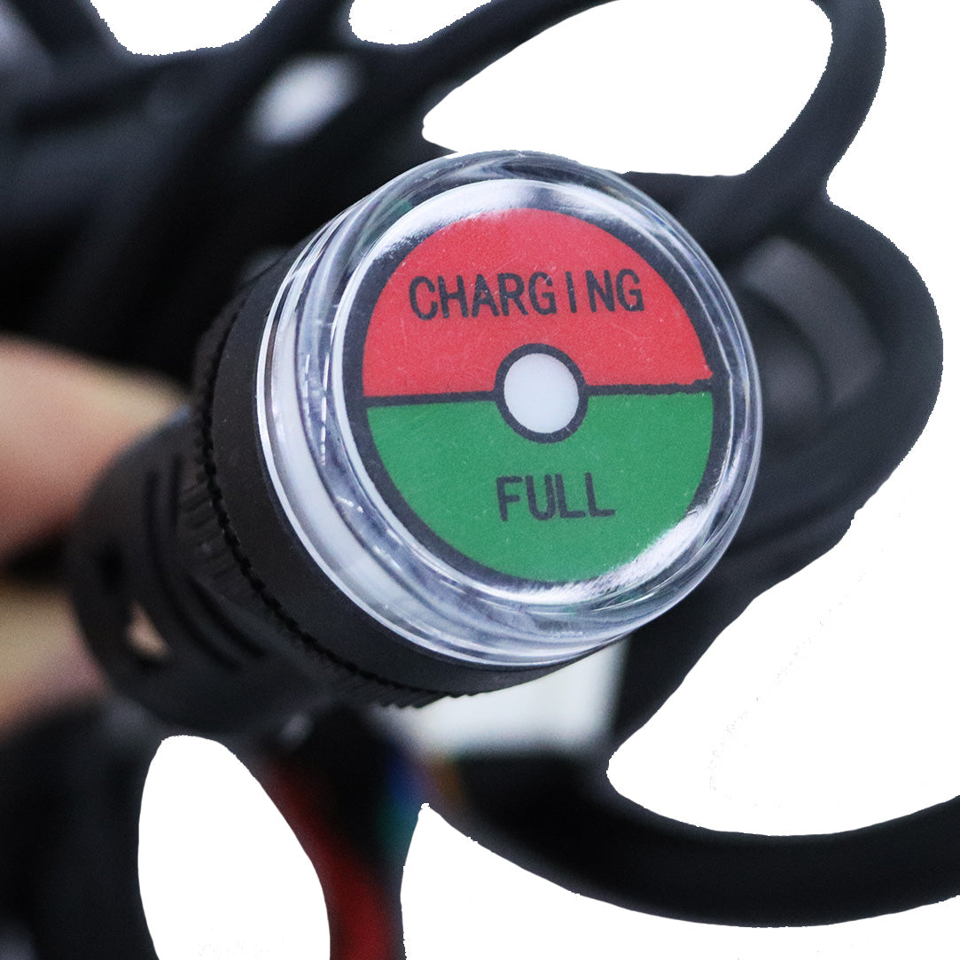 BSLBATT Golf cart lithium battery charge level gage