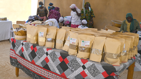 A Saint-Jérôme Company Stands Out Internationally