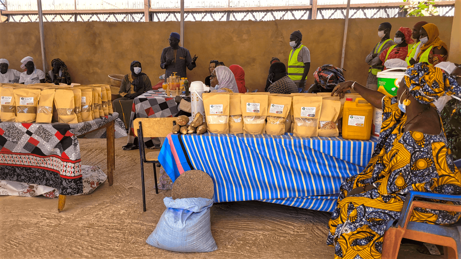 Essor Project: Solar for Senegalese Agriculture