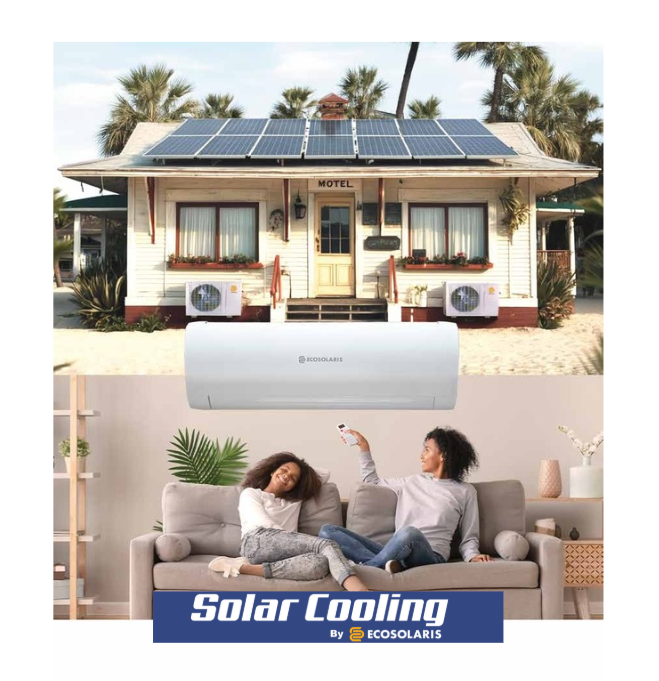 Lancement officiel et création de la division Solar Cooling