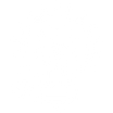 Light Bulb icon